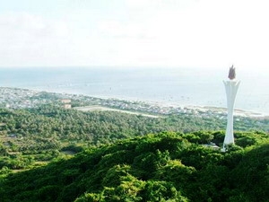 Ho Chi Minh torch unveiled on Phu Quy island